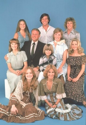 La famiglia Bradford serie televisiva anni 70/80 completa