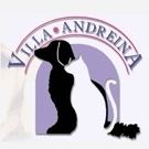 Villa Andreina  pensione 4 stelle per cani e gatti e clinica veterinaria ad Acilia Roma.