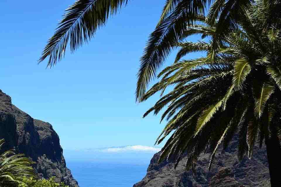 TENERIFE DAL 14 FEBBRAIO. VOLO DA ROMA.