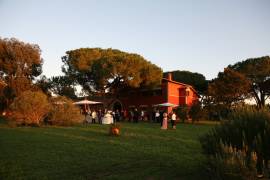Agriturismo a Castel Romano affitta sala per feste 