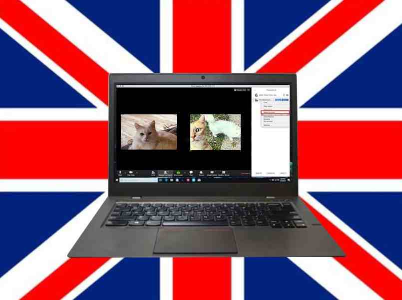 Inglese Online - Madrelingua