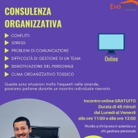 Consulenza Organizzativa Riservata