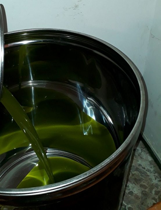 Olio extravergine di oliva biologico