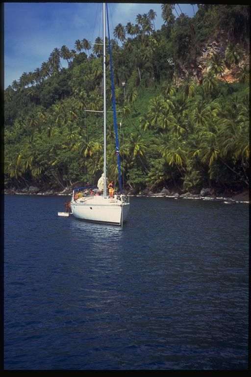 Vacanze a vela e catamarano Caraibi 