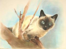 quadro ritratto da tua foto in 24 ore disegno matite colorate compleanno nozze festa della mamma