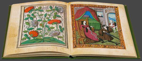 Facsimile Il Bulino: Histoire d'Amour sans Paroles