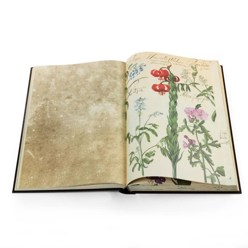 Facsimile Aboca Museum: Hortus Amoenissimus