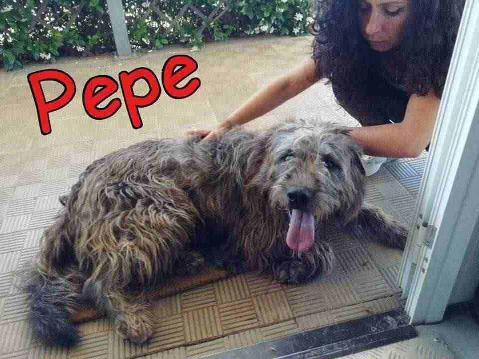 PEPE 2anni simpatico cappellone - 34kg