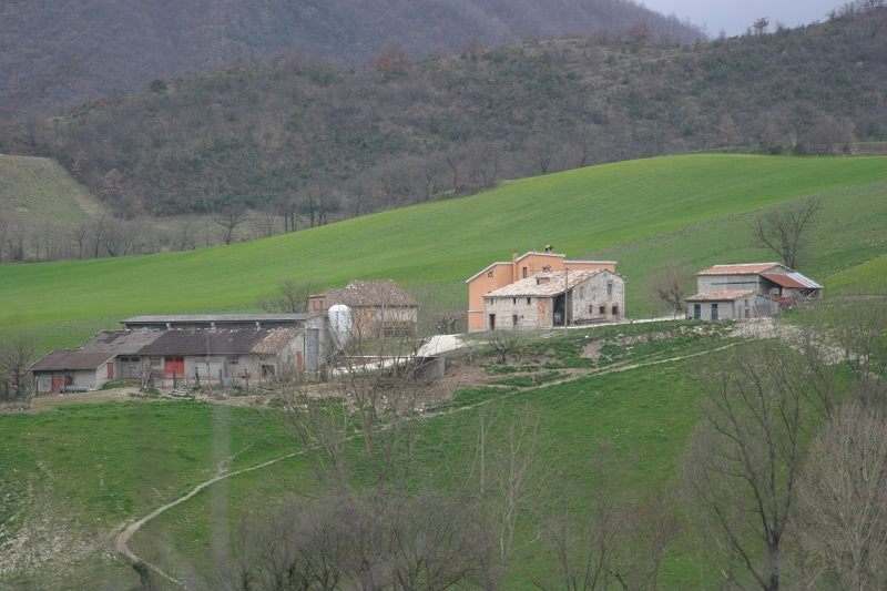 Terreno agricolo in Vendita a Sassoferrato