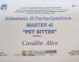 Alice Pet Sitter Monza e Brianza