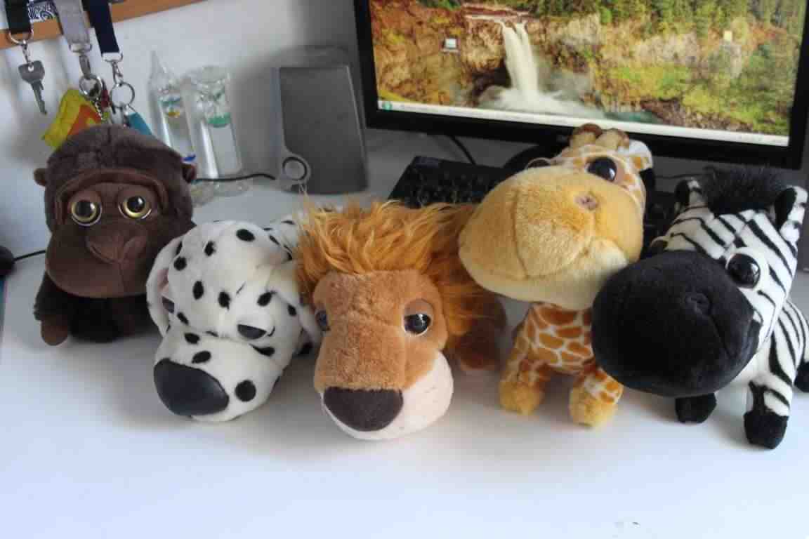 Peluches animali, cane, leone, zebra, gorilla Big Headz Plush Toy Plusch 