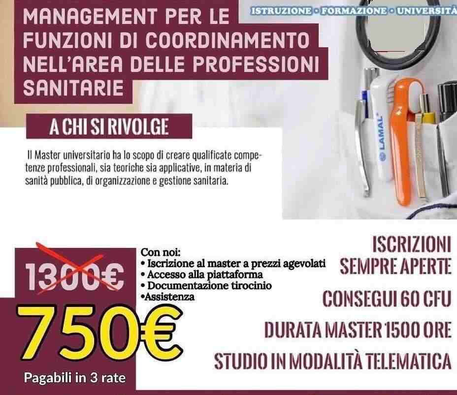 Master di I°livello &quotManagement per le funzioni di coordinamento nell'area delle professioni