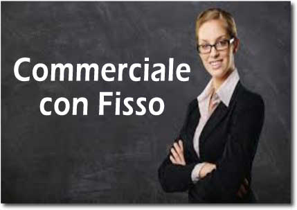 Lavoro Commerciale con Fisso in Monza e Brianza