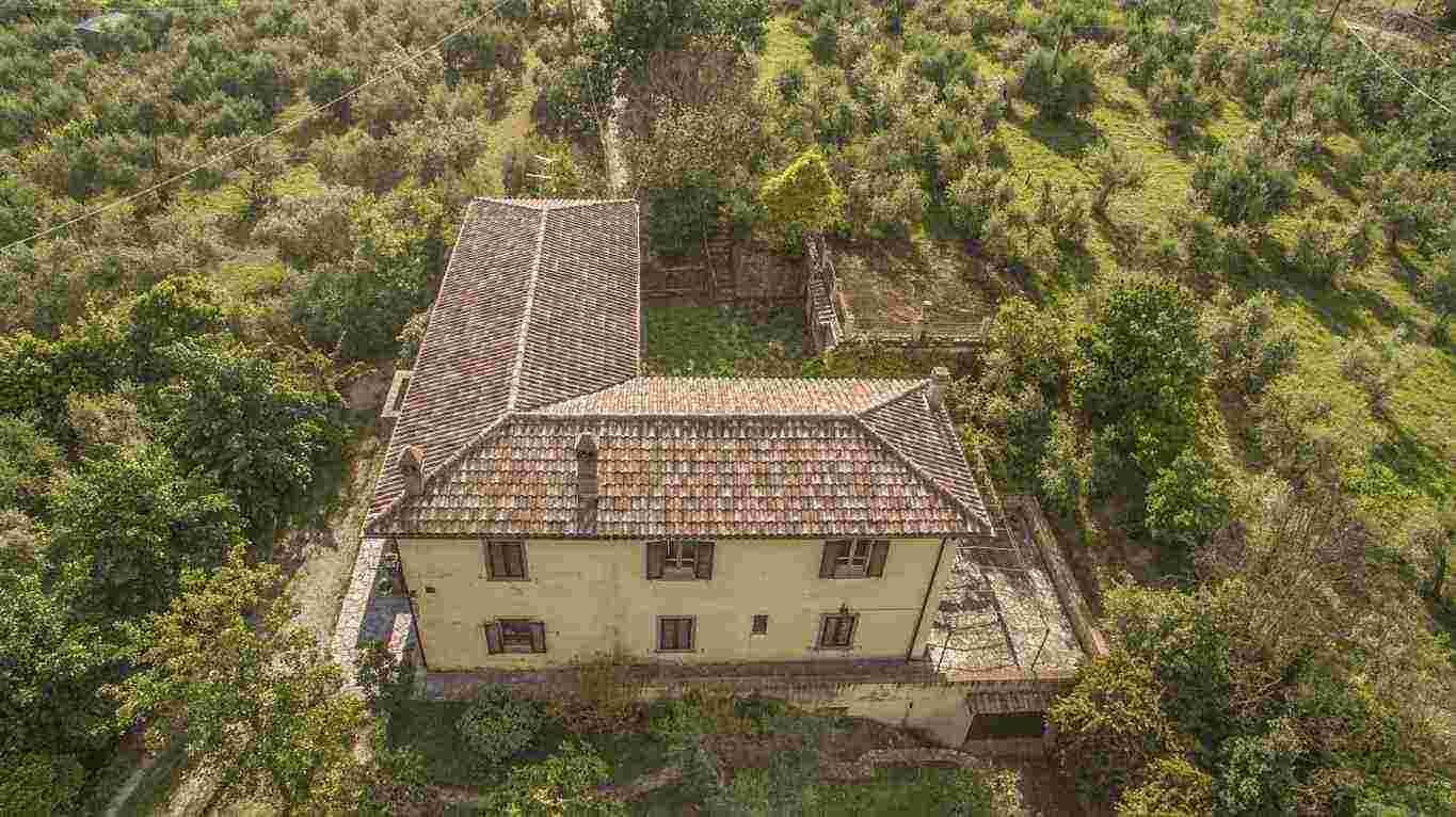 Vendo Grande  Villa antica  tutta circondata da oliveto