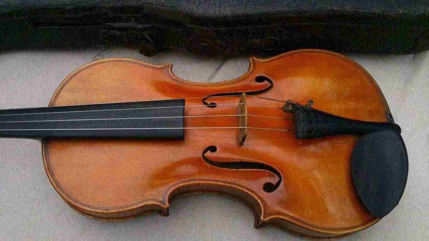 Violine Giuseppe Fiorini