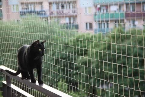 installazione rete protezione gatti per balconi e finestre